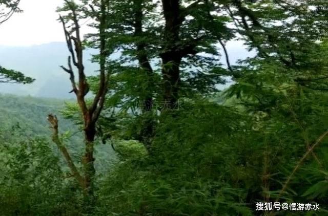 我为什么身体无力？